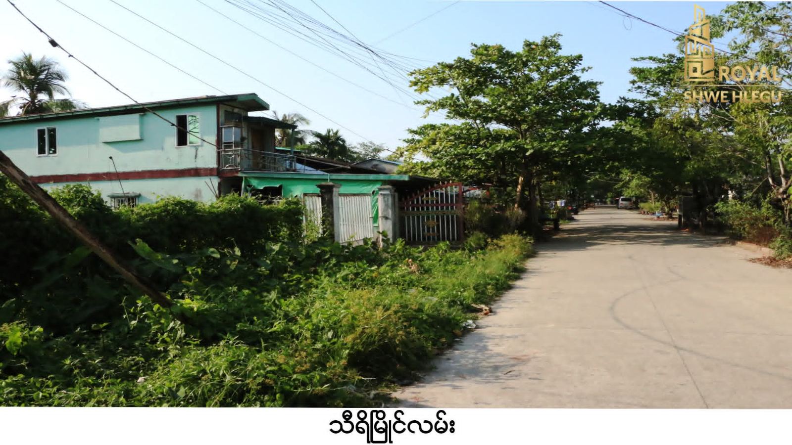 45